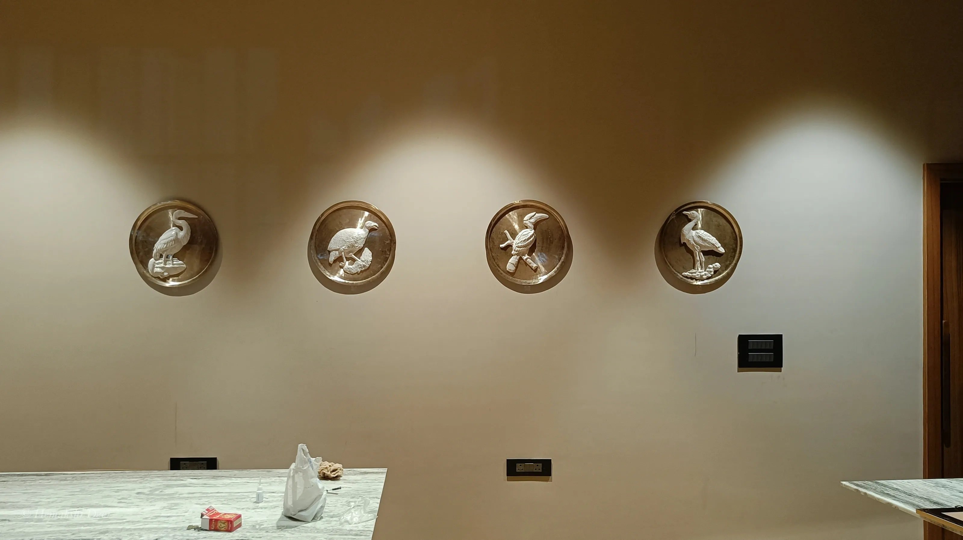 Row of bell-metal medallions with Kaziranga bird reliefs along the Jakoi corridor wall